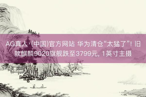 AG真人·(中国)官方网站 华为清仓“太猛了”! 旧款麒麟9020旗舰跌至3799元， 1英寸主摄