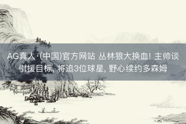 AG真人·(中国)官方网站 丛林狼大换血! 主帅谈引援目标, 将追3位球星, 野心续约多森姆